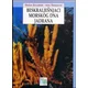 Beskralješnjaci morskog dna Jadrana