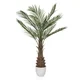 MID.YOU Umetna Rastlina Dracaena