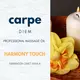 Ulje za masažu Carpe Diem Harmony Touch 0.5 L