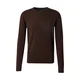 INDICODE JEANS Pulover Wildman temno rjava