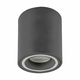 Rabalux Plafonjera Kobald, GU10 25W, D8cm, Siva