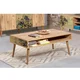 Hanah Home Klub sto Viva 2 110x45x60?cm Bež-Zeleni