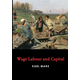 Wage Labour and Capital