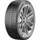 Barum Polaris North 6 ( 205/50 R17 93T XL EVc, Nordic compound, sa rebrom felne )
