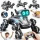 HD5100 Daljinsko voden robotski pes