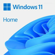MICROSOFT Windows Home 11 FPP angleški, USB
