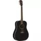 Washburn WD7S Matte Black