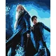 Rayher. Slikanje po številkah, Harry Potter: Harry and Dumbledore, s kovinskimi barvami