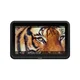 Atomos Shinobi 7 II