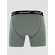 REELL Trunks Boksarice grey green