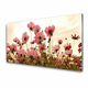 tulup.si Slika na steklu Cvetje wildflowers travnik narava 140x70 cm 2 obešalnika