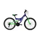 CAPRIOLO MTB CTX240 24/18HT plavo-zeleno