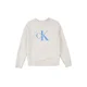 Calvin Klein Jeans Majica azur/pegasto siva/bela