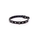 Gardj Europe Fetish B – serija – ovratnica 2 cm, srebrna s kristali