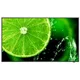 Monitor LCD NEC 60005045 IPS Direct-LED 42,5 42,5