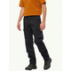 JACK WOLFSKIN ARCTIC ROAD CARGO M Pants