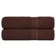 Vidaxl Brisače za roke FROGN 2 kosa rjave 50x100 cm 360 g/m2