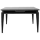 Hanah Home Trpezarijski sto Star - 983