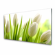 tulup.si Steklena slika Tulipani cvetje 140x70 cm 2 obešalnika