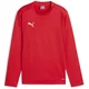 Mikica Puma teamGOAL Training Sweat Jr