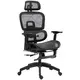 Homestar Pisarna stol ergonomski pisarniški stol 66x64x114 cm črna