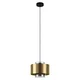 Eglo 390066 - Luster na sajli DUGLIA 1xE27/40W/230V zlatna