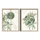 Plakati v kompletu 2 ks z okvirjem 30x40 cm Green – Styler