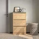 Hanah Home Cipelarnik Flat, 73x119x26 cm, Boje hrasta