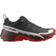 Salomon CROSS HIKE GTX 2, cipele za planinarenje, crna L41730200