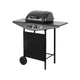 Gas grill Teesa BBQ 2000 - 2 burners