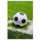Darymex Odeja iz flisa 100x150 Nogomet, (21888215)