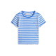 TOMMY HILFIGER Majica ESSENTIAL modra/bela