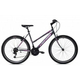 CAPRIOLO PASSION MAN L 26 sivo