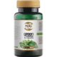 Green coffee & L-Carnitine kapsule Hug Your Life 60x500mg