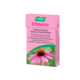 ECHINACEA BONBONI, 30 G