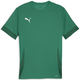 Dre Puma teamGOAL Matchday Jerey
