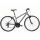 KROSS EVADO 1.0 RASBERRY/GREY, S