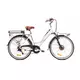 CAPRIOLO električni bicikl Classic 26