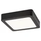 Rabalux Plafonjera Shaun2, 7W, 3000K, Kvadratna, Crna