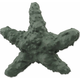 Igrača Dog Fantasy Sea NaturalToy zvezdica guma zelena 15cm