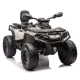 RAMIZ Licencirani 2-sedežni ATV štirikolesnik Can-Am Outlander 4x4 siva