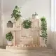Vidaxl vidaXL Stojalo za rastline 104,5 x 25 x 77,5 cm, masivni borov les