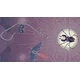 Ophidia