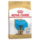 Royal Canin Breed Nutrition Nemački Ovčar Puppy - 3 kg
