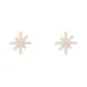 DANIEL WELLINGTON DW00401612