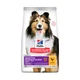 Hills Science Plan hrana za pse Medium Adult - Sensitive Skin&Stomach 14kg
