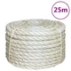 Vidaxl vidaXL Vrv, 100 % sisal, 10 mm, 25 m