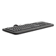 GENIUS KB-118 II USB YU crna tastatura (TAS01224)