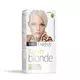 Set za trajno bojenje kose FOREVER BLONDE 11S Special light silver blonde