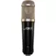 ADK A6 Studio Microphone